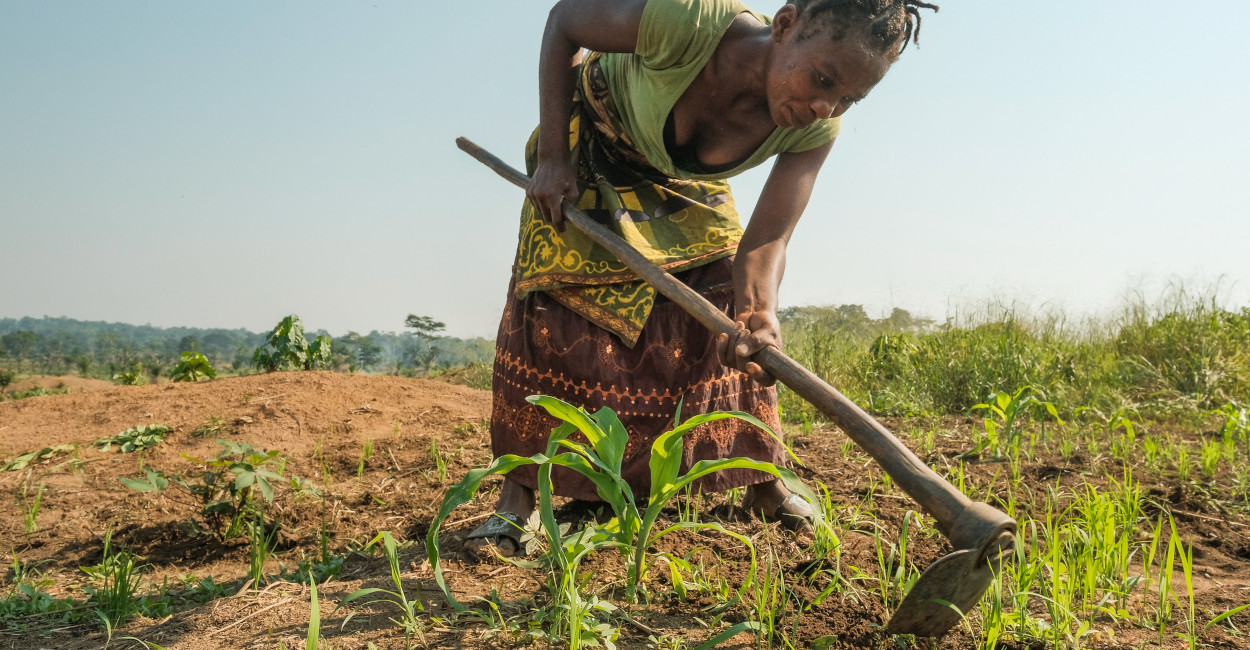 Read more about the article Eco-Friendly Local Farming in Africa