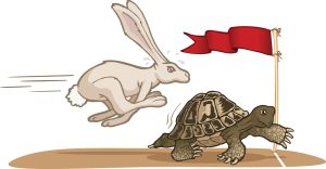 Read more about the article The Tale of the Tortoise and the Hare